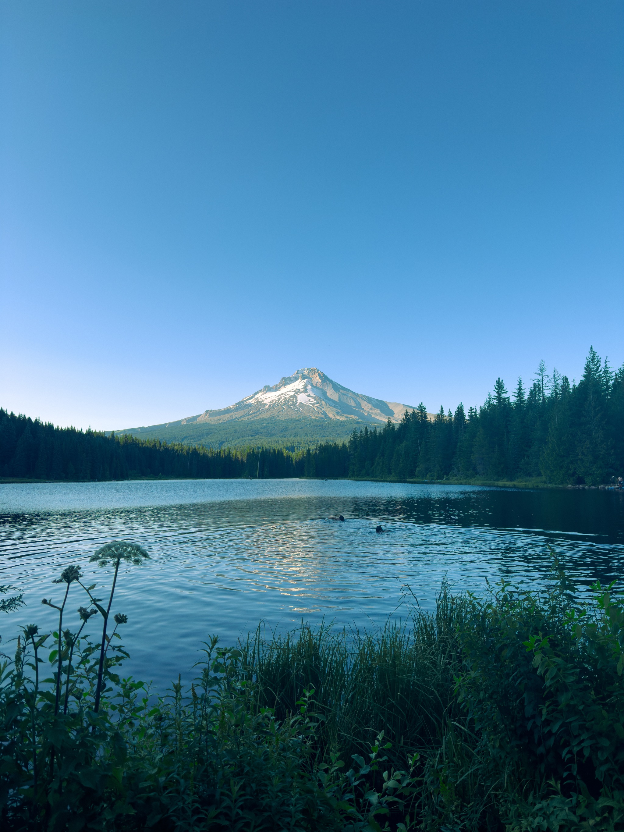 Swimming at Trillium Lake