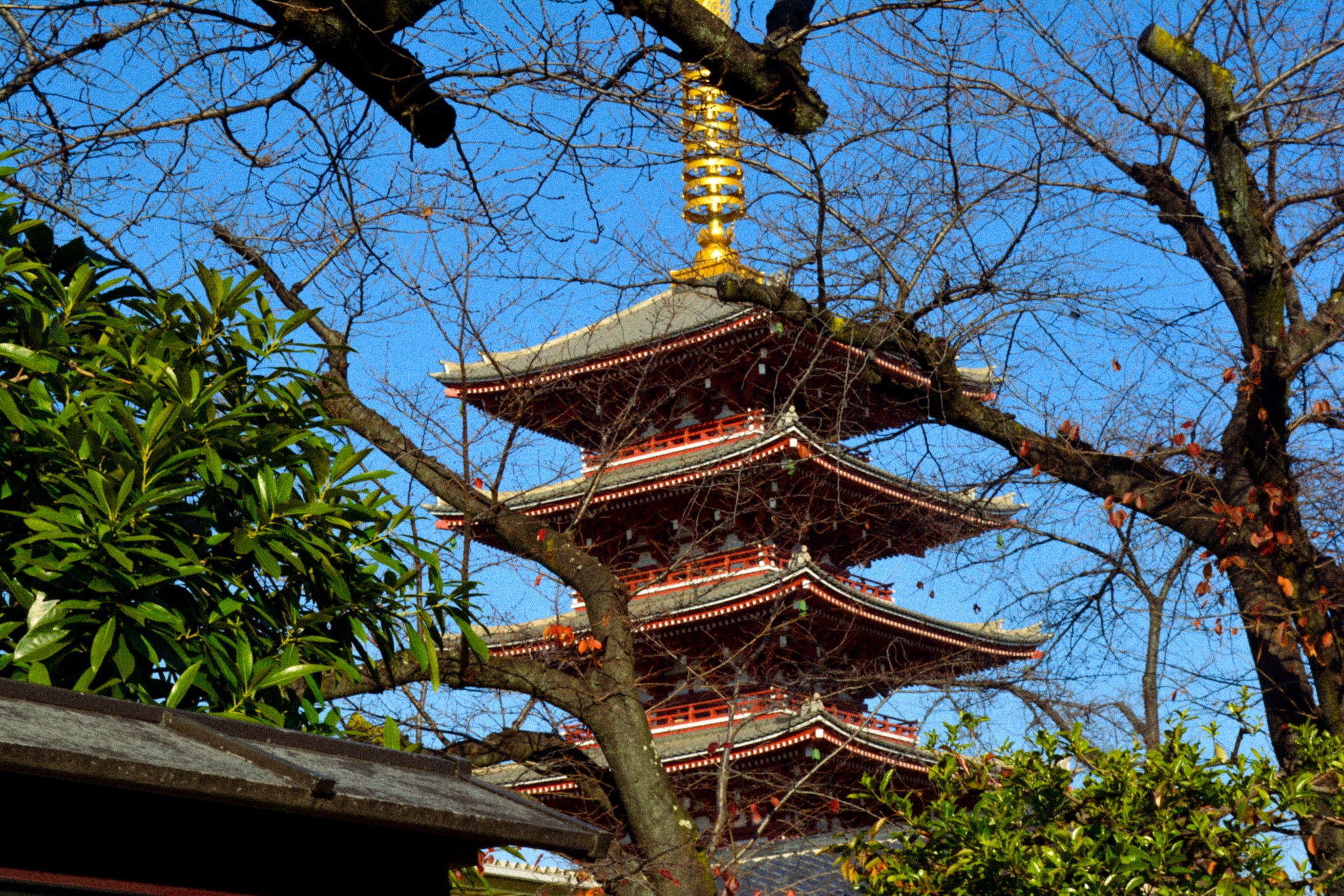 Sensoji Temple