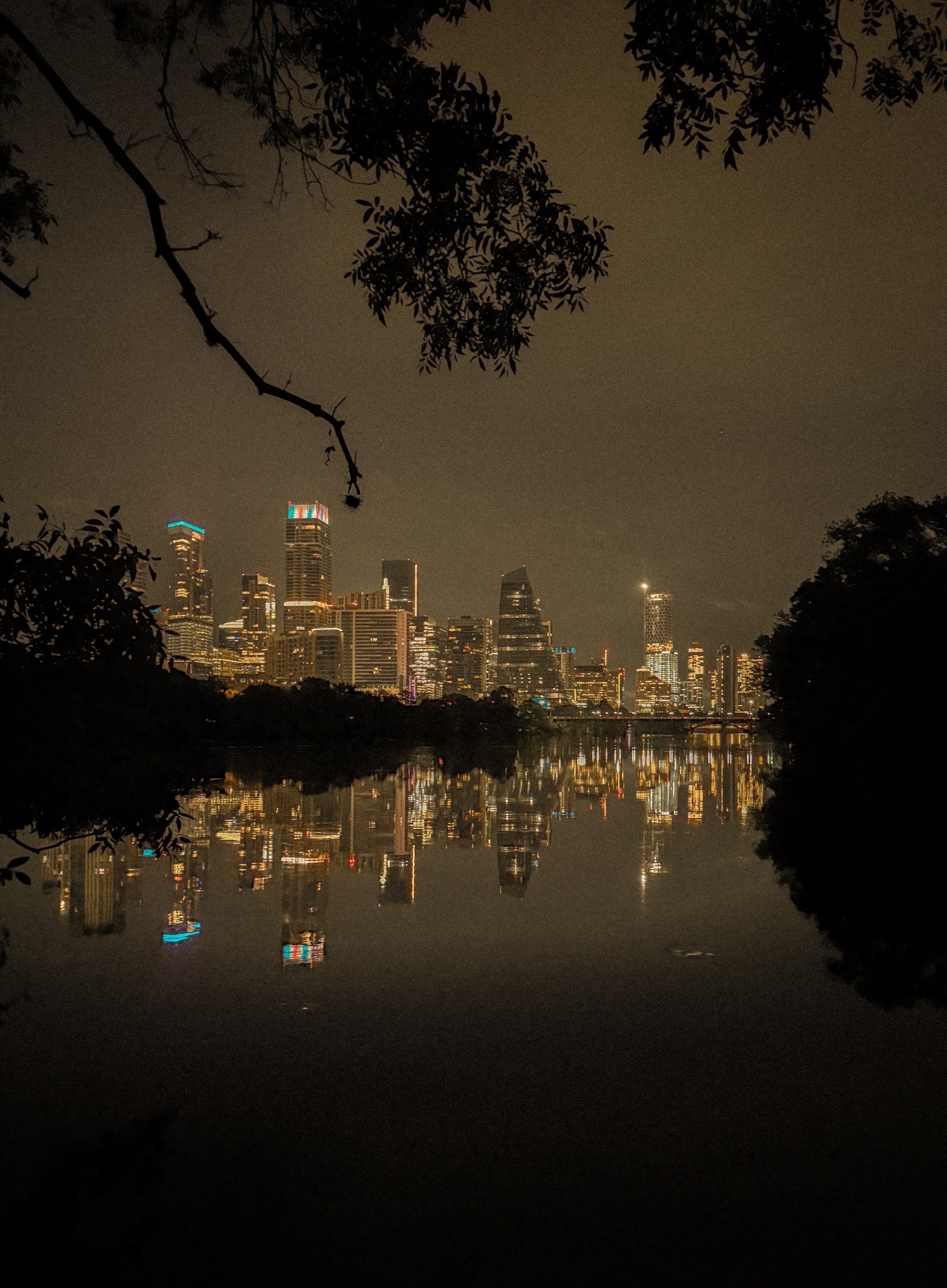 Lady Bird Lake night viewpoint