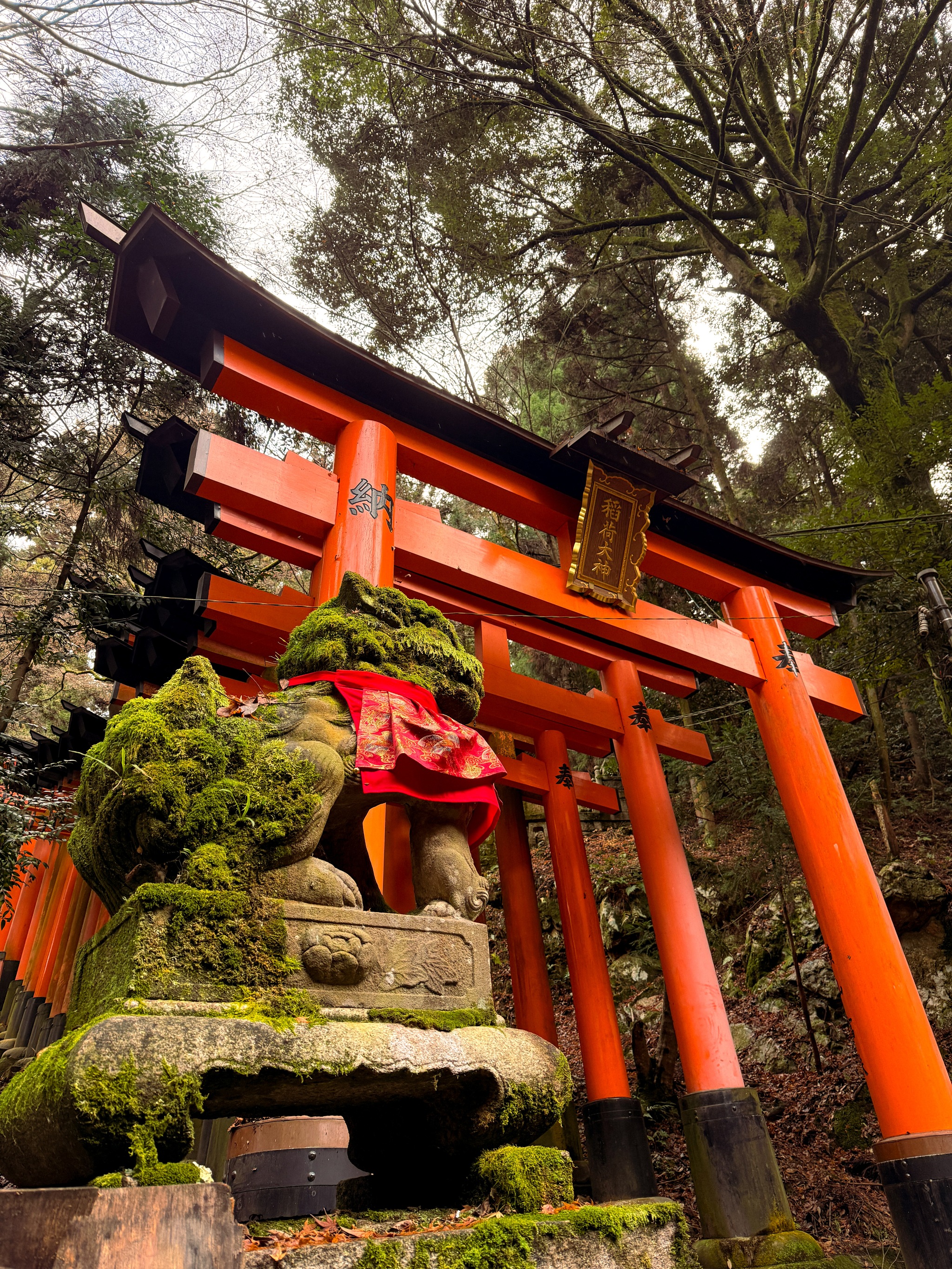 Fushimi Inari Gates