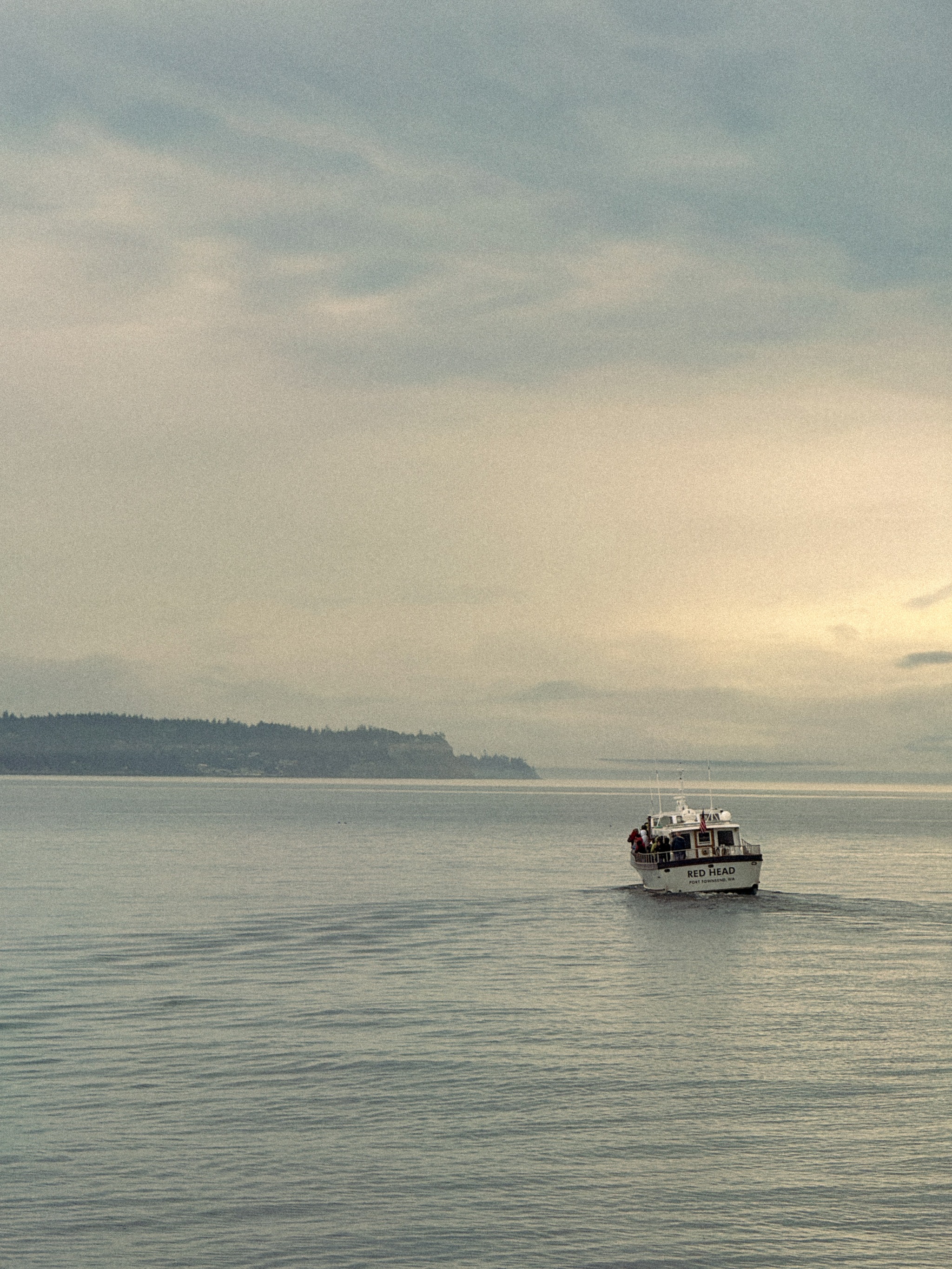 A whale-watching boat